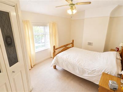 Picture 8